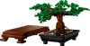 10281 LEGO® Creator Expert Bonsai fa