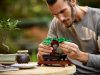 10281 LEGO® Creator Expert Bonsai fa