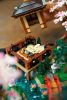 10315 LEGO® ICONS™ Japánkert
