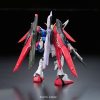 Bandai RG ZGMF-X42S Destiny Gundam 1/144 makett