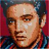 31204 LEGO® Art Elvis Presley „A király”