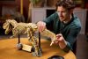 76968 LEGO® Jurassic World™ Dinoszaurusz maradványok: Tyrannosaurus rex