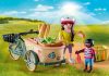 Playmobil Country 71306 Teherbicikli