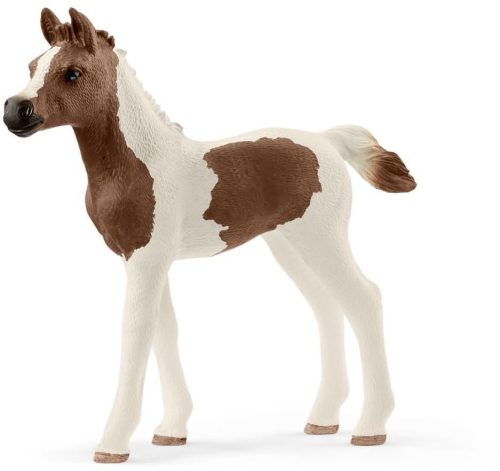 Schleich® Horse Club 13839 Pintabiani csikó