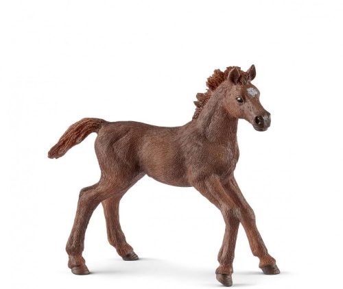 Schleich® Horse Club 13857 Angol telivér csikó