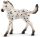 Schleich® Horse Club 13890 Knabstrupper csikó