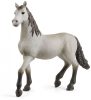 Schleich® Horse Club 13924 Spanyol csikó 