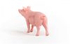 Schleich® Farm World 13933 Pig