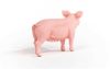 Schleich® Farm World 13933 Pig