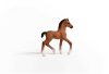 Schleich® Horse Club 13947 Oldenburger csikó