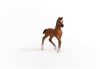 Schleich® Horse Club 13947 Oldenburger csikó