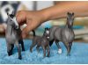 Schleich® Horse Club 13955 Francia hátasló kanca