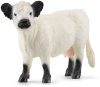 Schleich® Farm World 13960 Galloway tehén