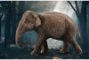 Schleich® Wild Life 14753 Nőstény Ázsiai Elefánt