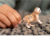 Schleich® Wild Life 14866 Gepárd bébi